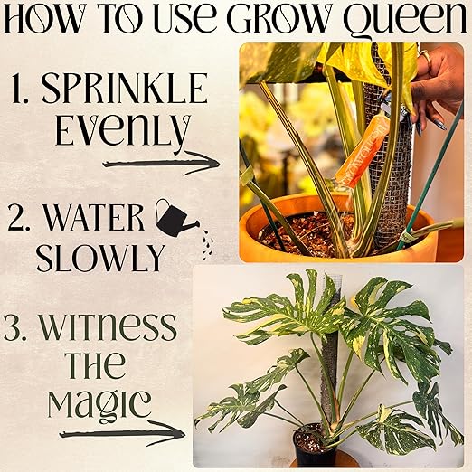 Grow Queen All-in-One Complete Organic Plant Food, Indoor Plant Fertilizer, for Houseplants, Organic Fertilizer for Vegetable Gardens, 11 Formulated Single Servings Feeds 22 gal Fast and Slow Release