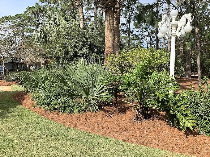 Longleaf Pine Straw Roll for Landscaping - Brown Color UV Resistant - Covers Up to 125 Square Feet