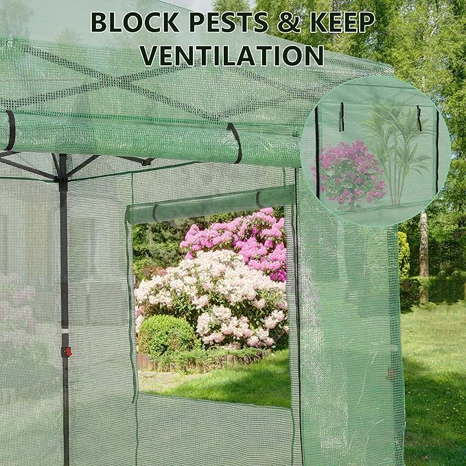 GDY 8X8FT Instant Pop-up Greenhouse, Walk-in Plant Gardening Green House with PE Cover/Roll-Up Zipper Doors/Side Windows for Indoor, Backyard and Outside, Green/Clear.