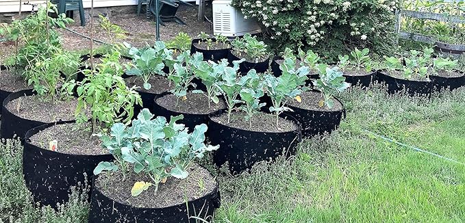 RootEase Garden Planting Fabric Grow Bags, Heavy Duty Durable Fabric Grow Pots, Perfect Harvest Planter, Raised Bed, Best Eco-Friendly Grow Bags (100 Gallon, Black)