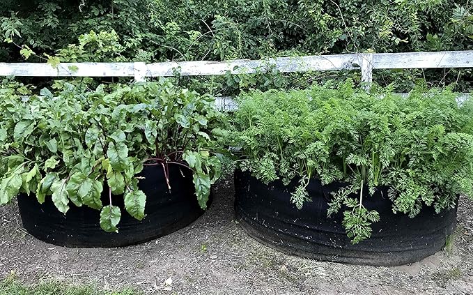 RootEase Garden Planting Aeration Fabric Container, Heavy Duty Durable Fabric Grow Pots, Perfect Harvest Planter, Raised Bed, Best Root Treatment Eco-Friendly Grow Bags (5 Gallon, Green)