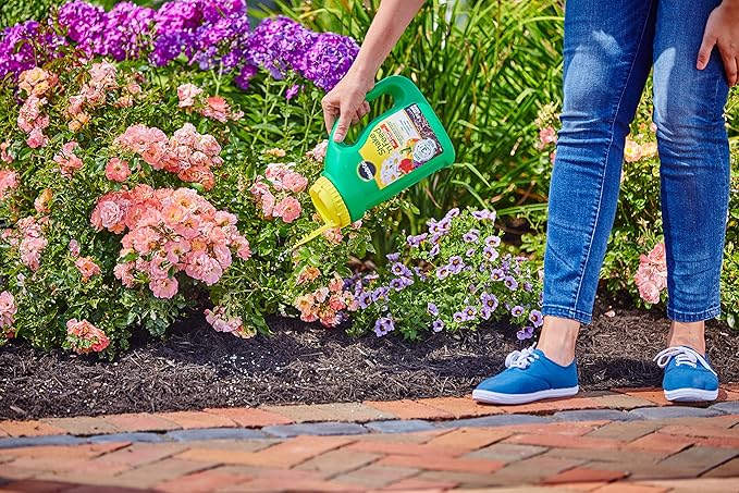 Miracle-Gro Shake 'N Feed All Purpose Plant Food, Plant Fertilizer, 4.5 lbs. (6-Pack)