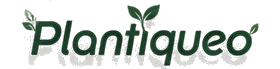 plantiqueo