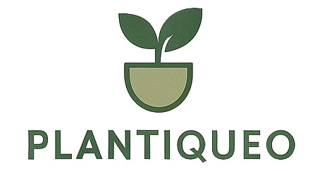 plantiqueo